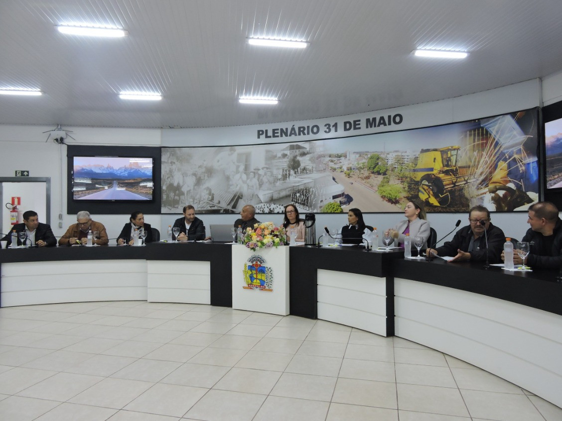 INFORMATIVO DA 11ª SESSÃO ORDINÁRIA DE 2025 - 03/06/2025